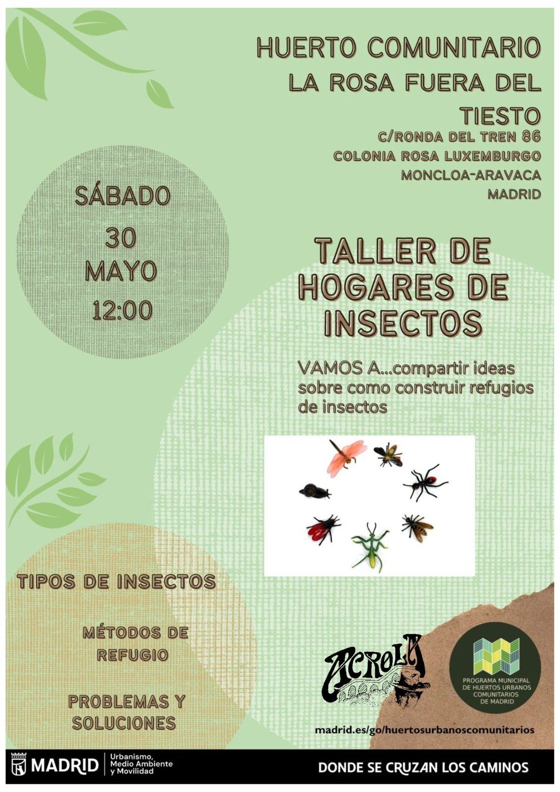 Taller de hogares de insectos