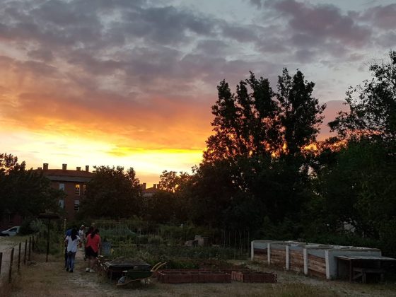 Atardecer en la Huerta.. San Isidro 2019 — me siento esperanzado(a) en…