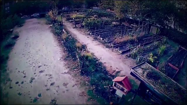 Vídeos del huerto, regalo de un vecino