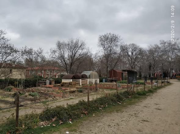 Mejoras en las infraestructuras del huerto