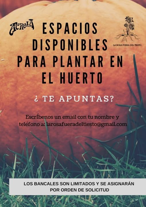 Espacios disponibles para plantar en el huerto